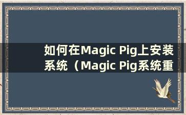 如何在Magic Pig上安装系统（Magic Pig系统重装方便吗）